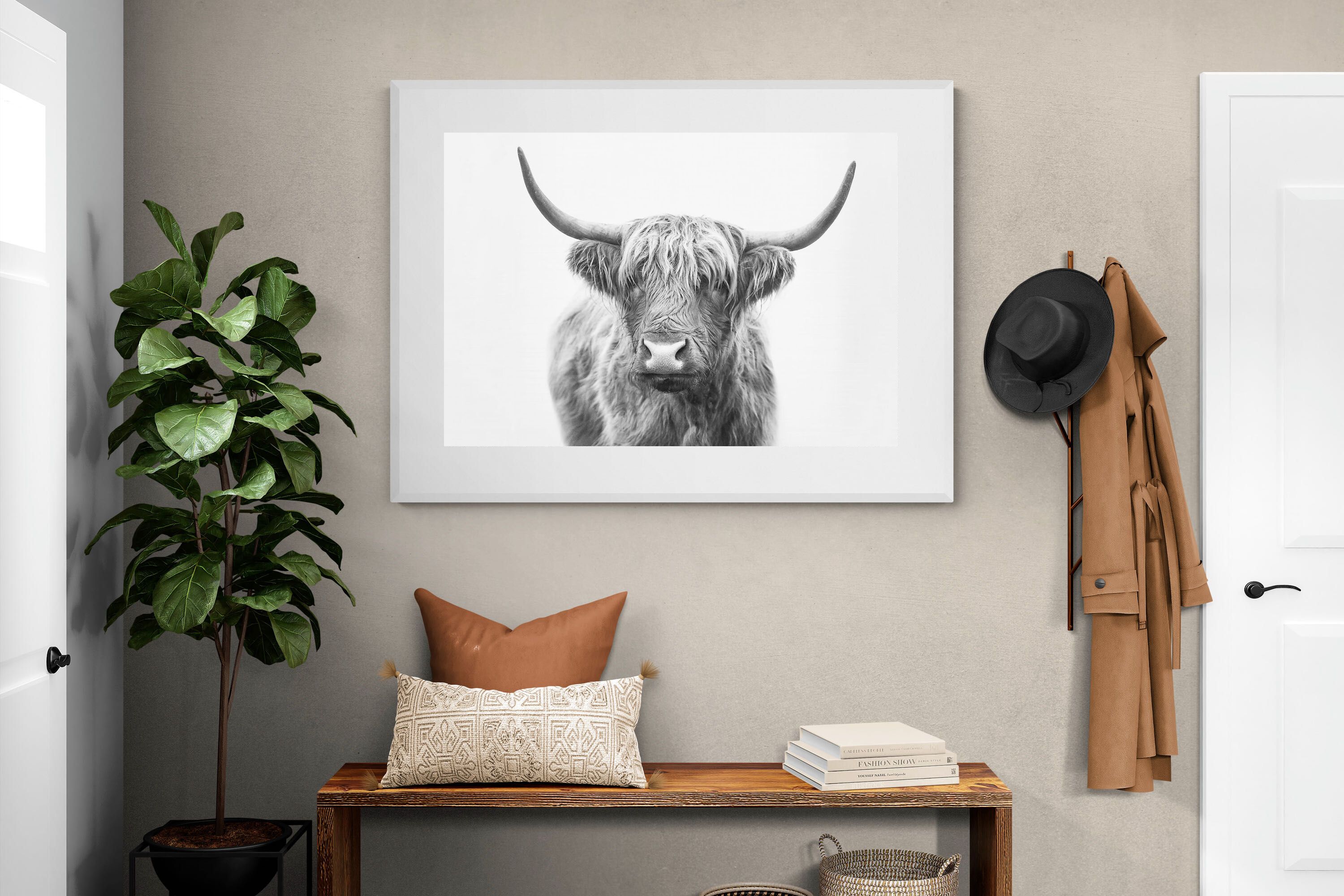 Pixalot Highland Bull