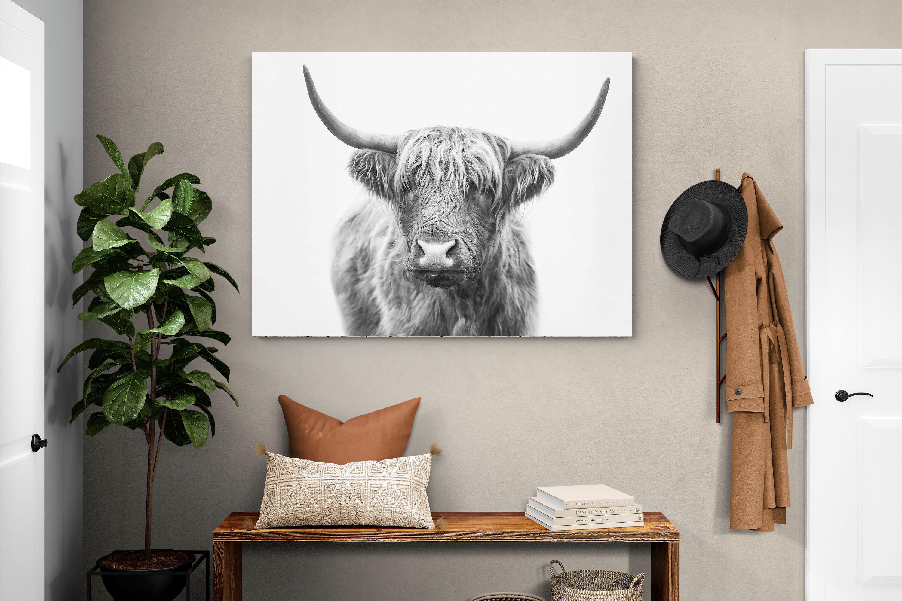 Pixalot Highland Bull