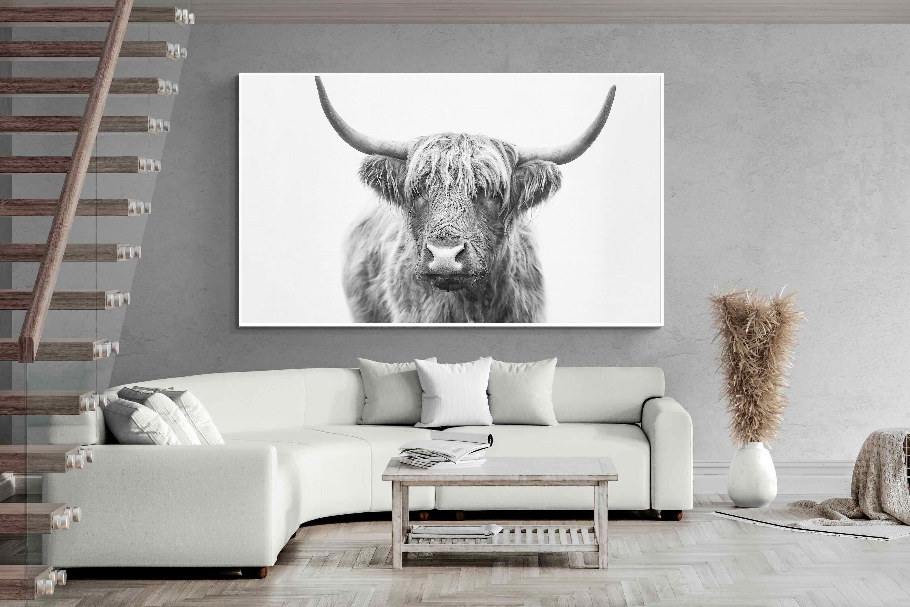 Pixalot Highland Bull