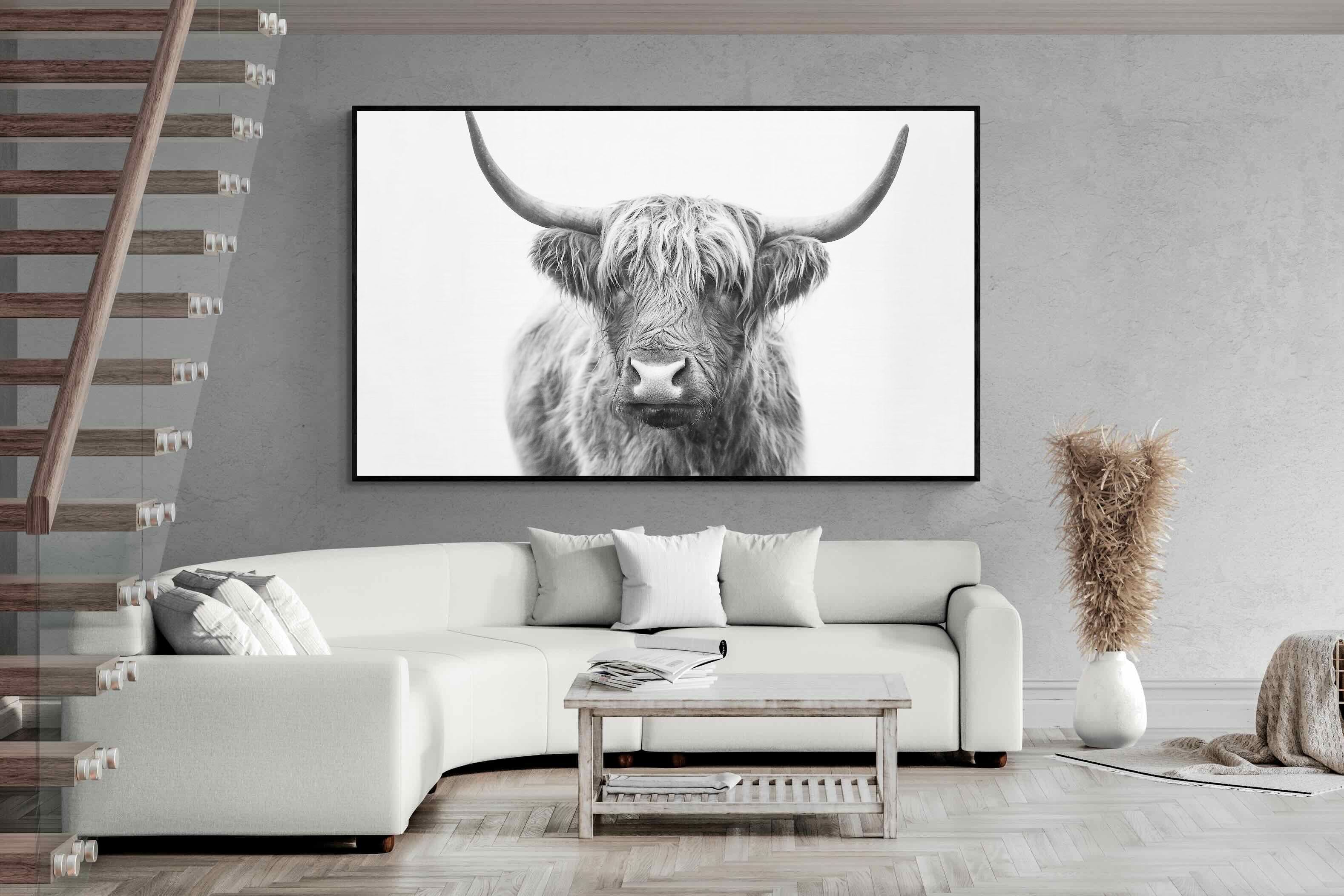 Pixalot Highland Bull