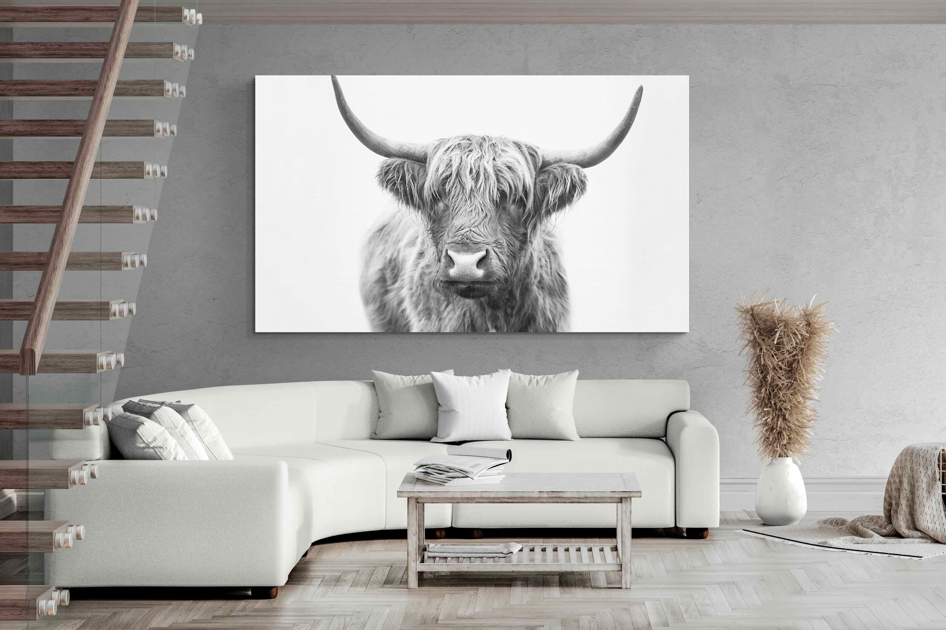 Pixalot Highland Bull