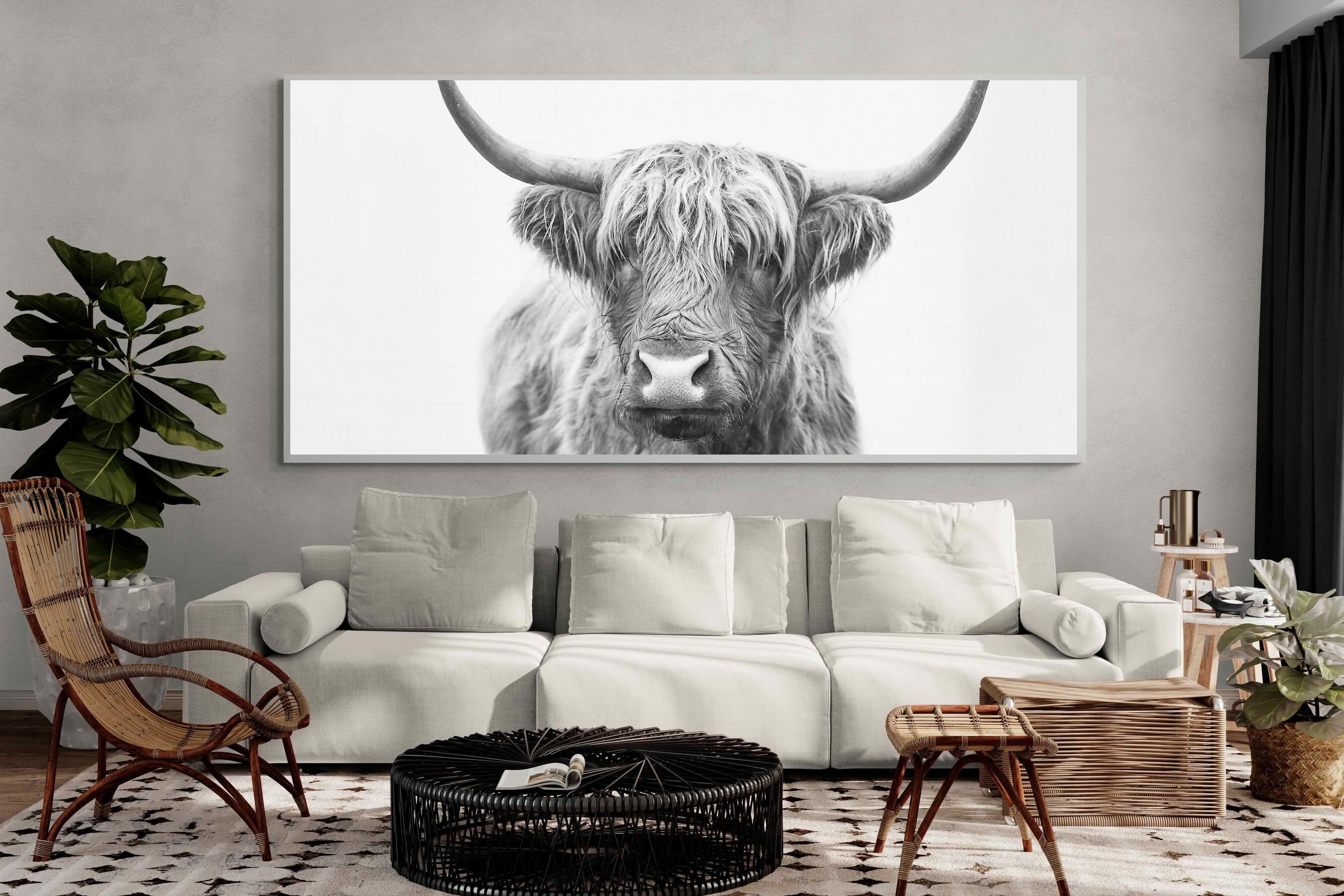 Pixalot Highland Bull