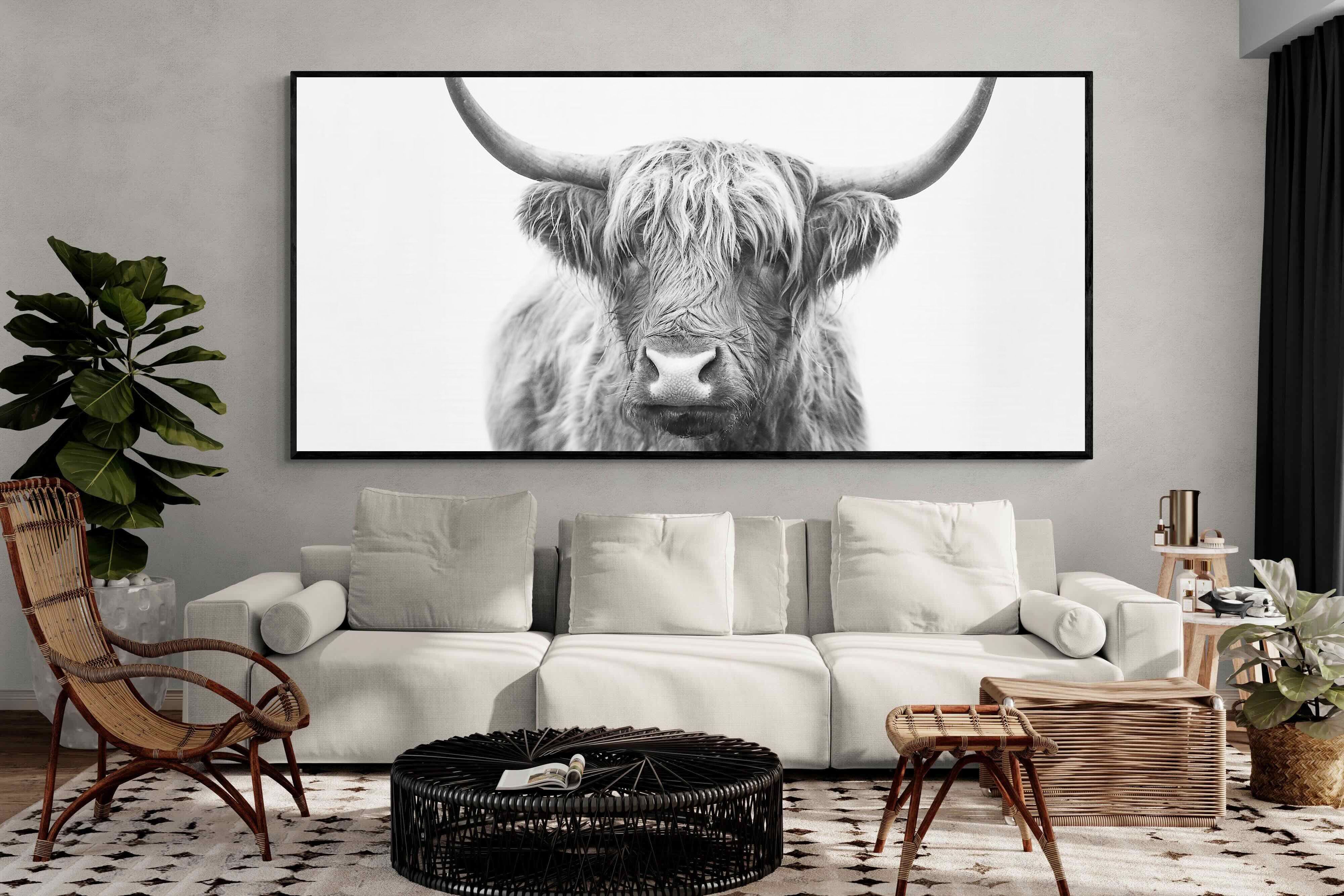 Pixalot Highland Bull