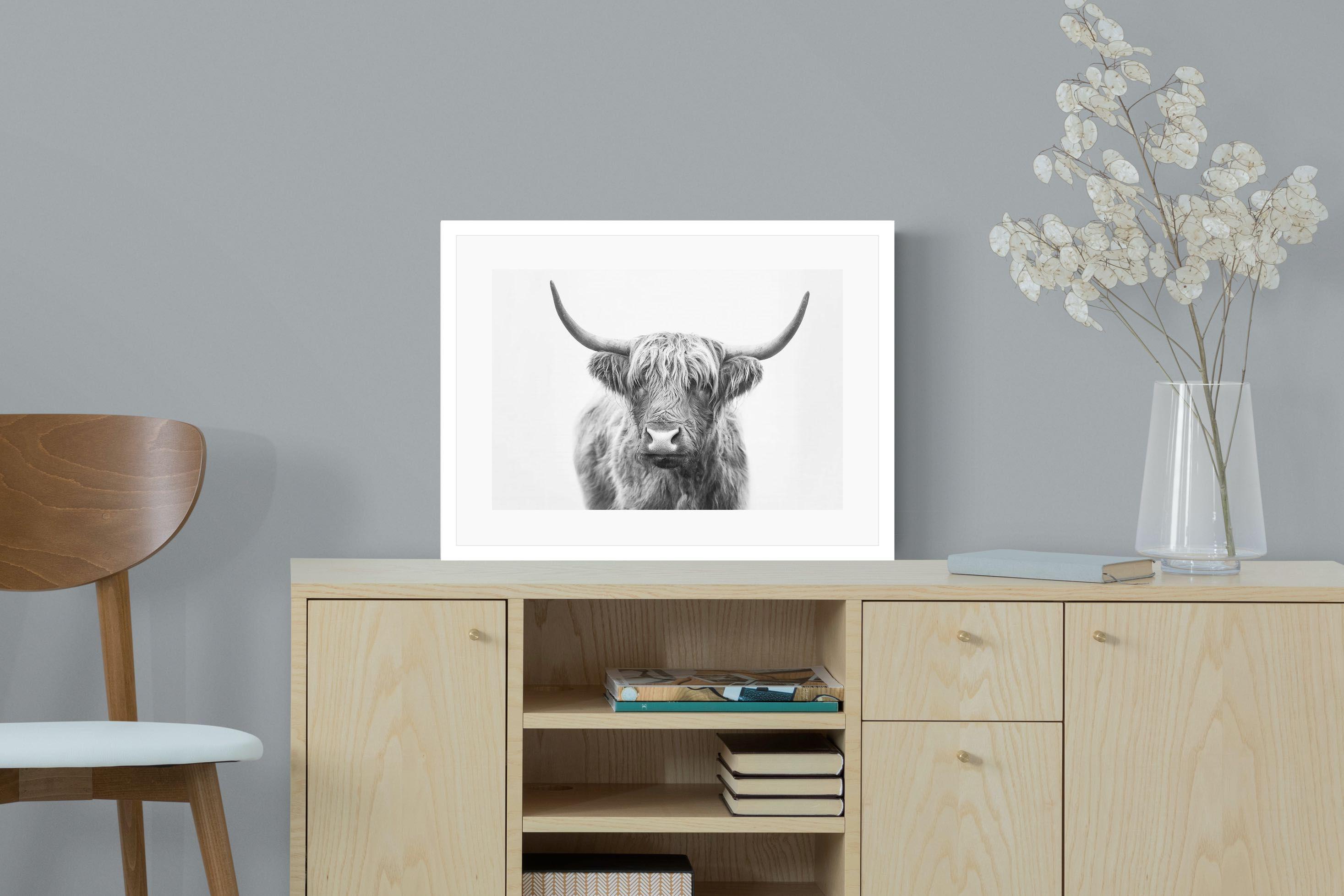 Pixalot Highland Bull