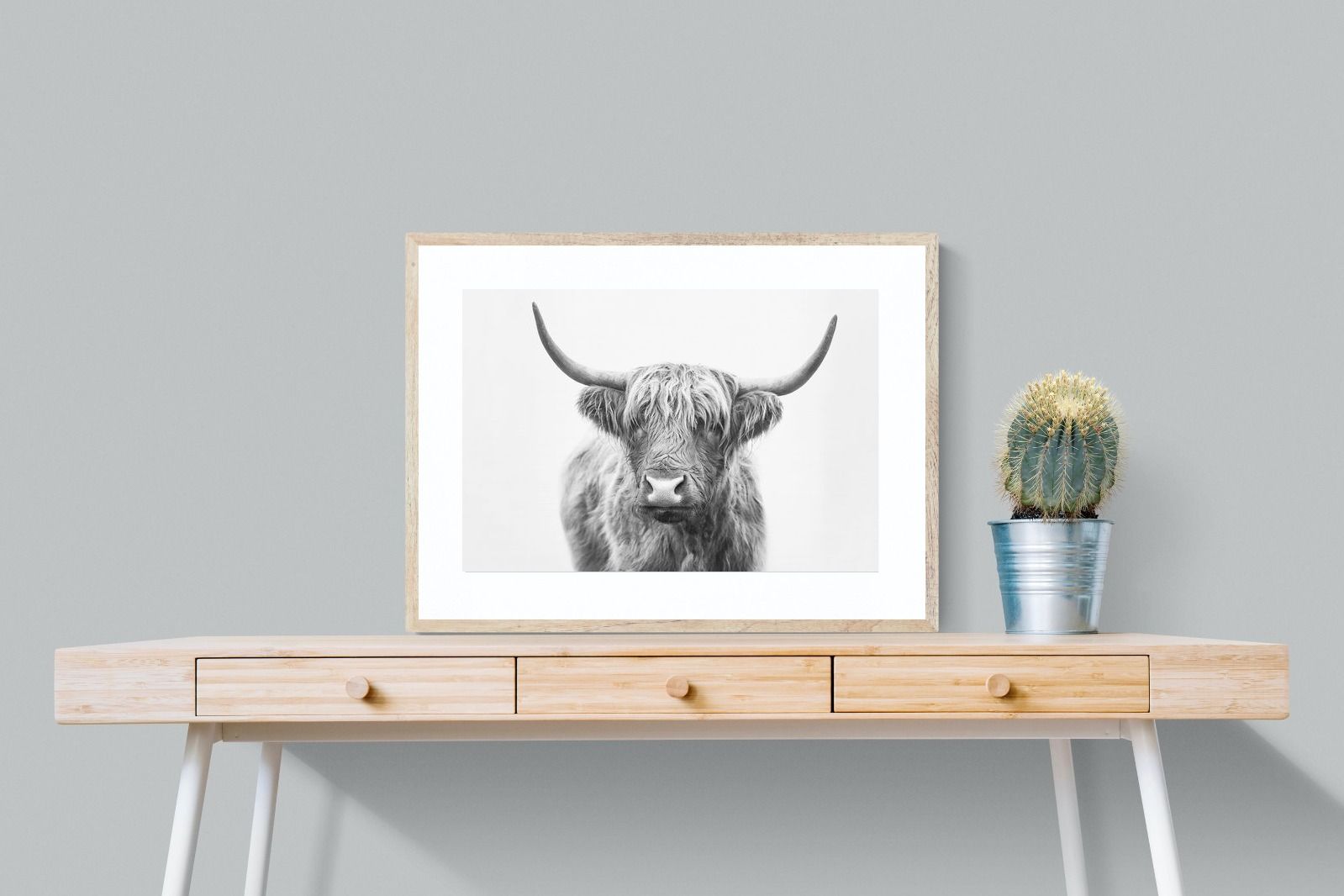 Pixalot Highland Bull