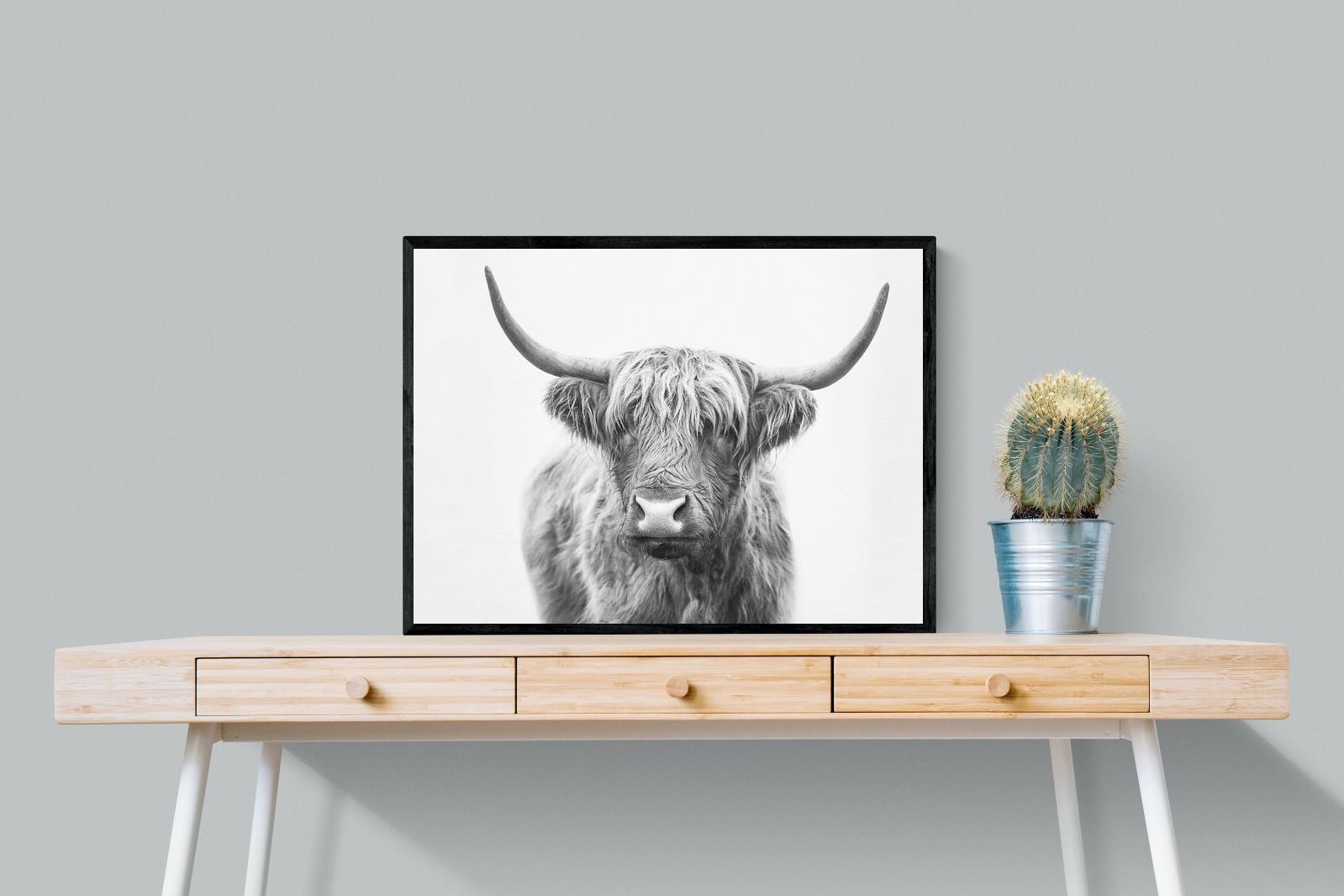 Pixalot Highland Bull