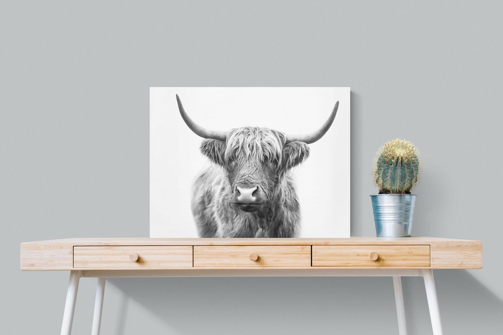 Pixalot Highland Bull