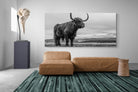 Pixalot Highland Cow