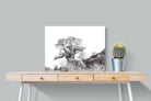 Hillside Baobab-Wall_Art-80 x 60cm-Mounted Canvas-No Frame-Pixalot
