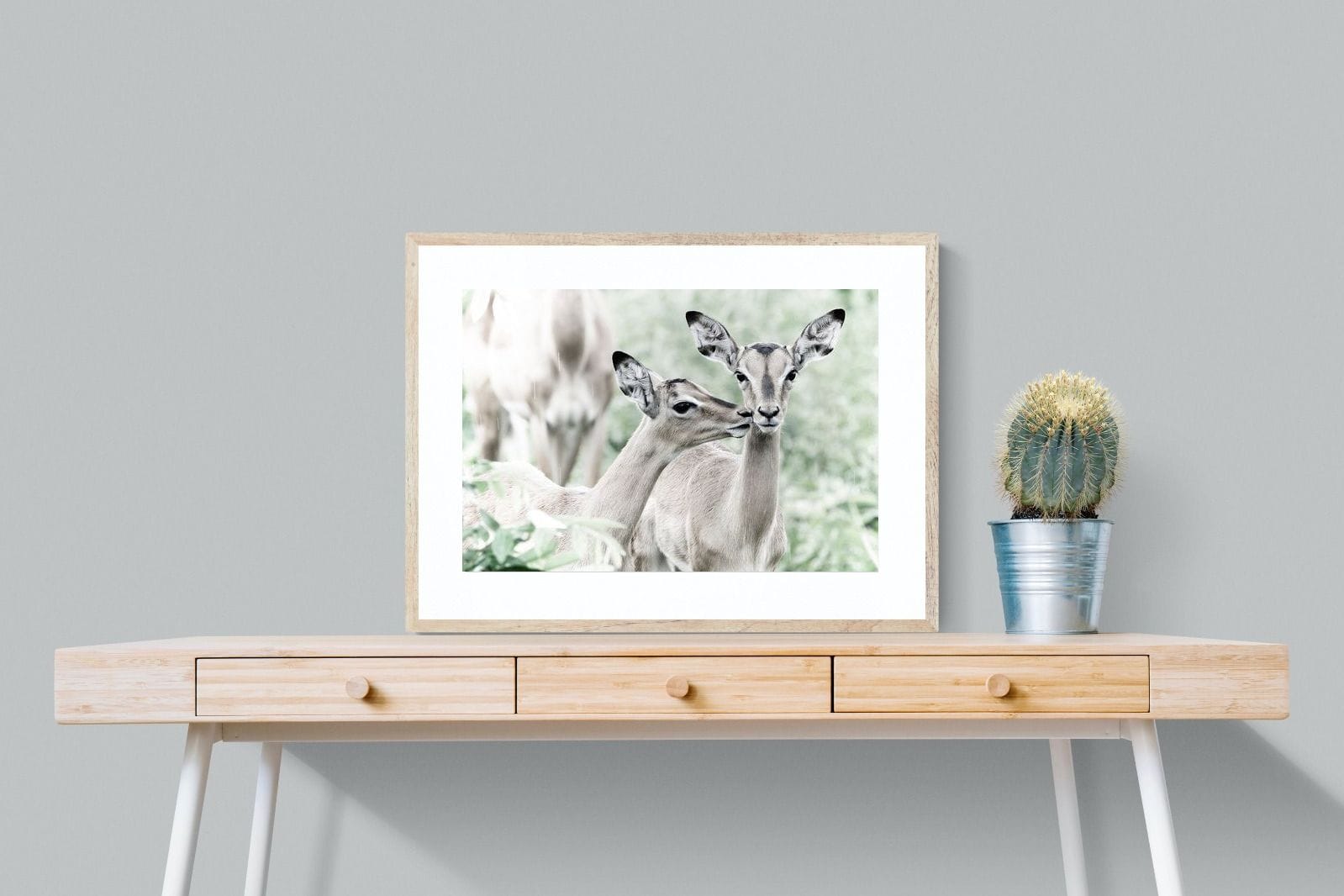 Impala Kisses-Wall_Art-80 x 60cm-Framed Print-Wood-Pixalot