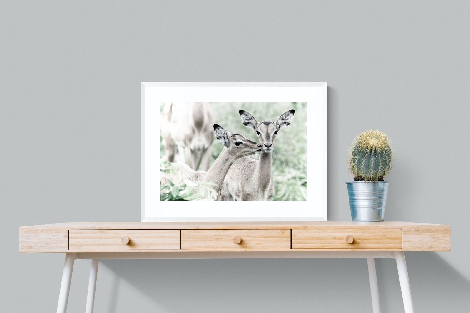 Impala Kisses-Wall_Art-80 x 60cm-Framed Print-White-Pixalot