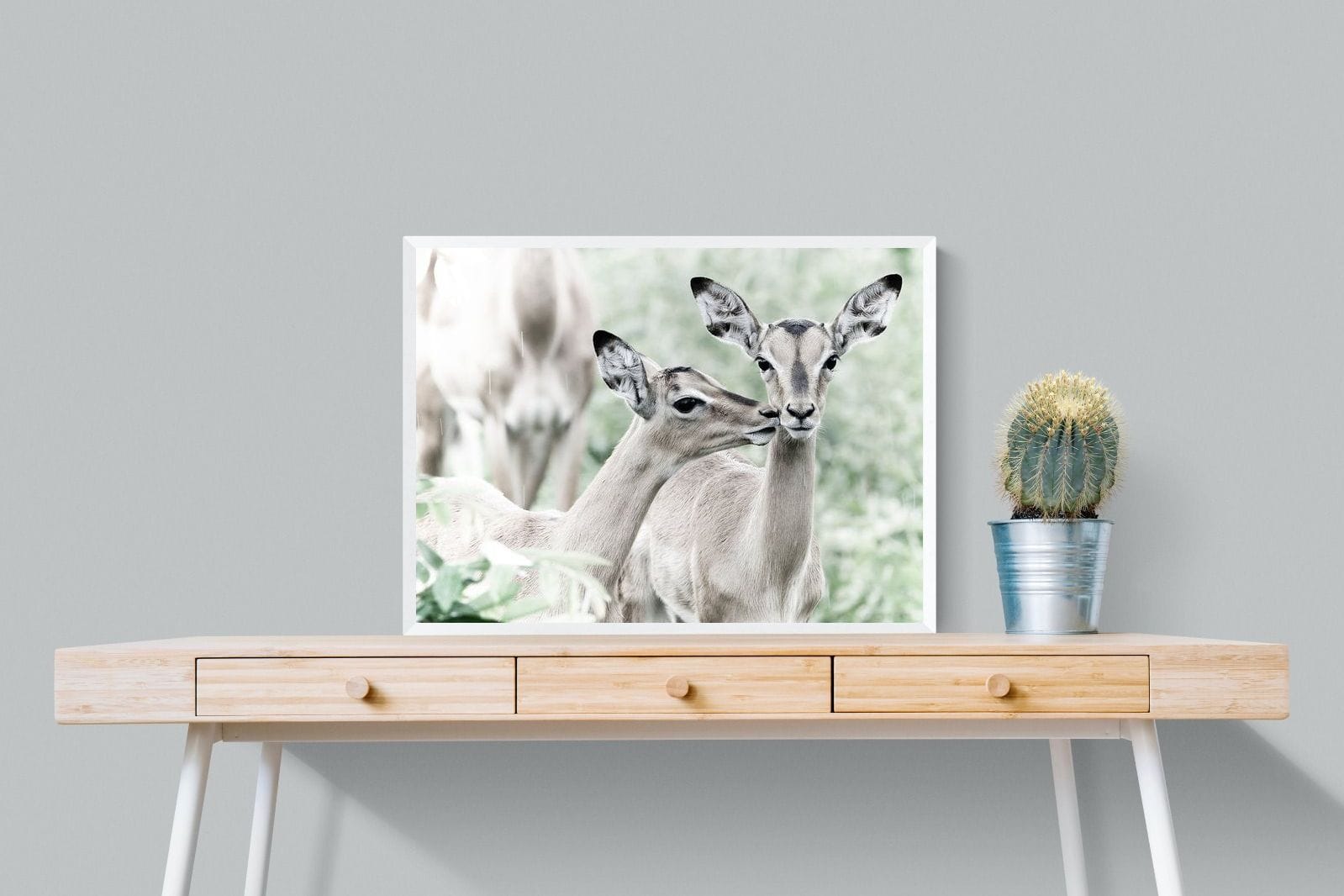 Impala Kisses-Wall_Art-80 x 60cm-Mounted Canvas-White-Pixalot