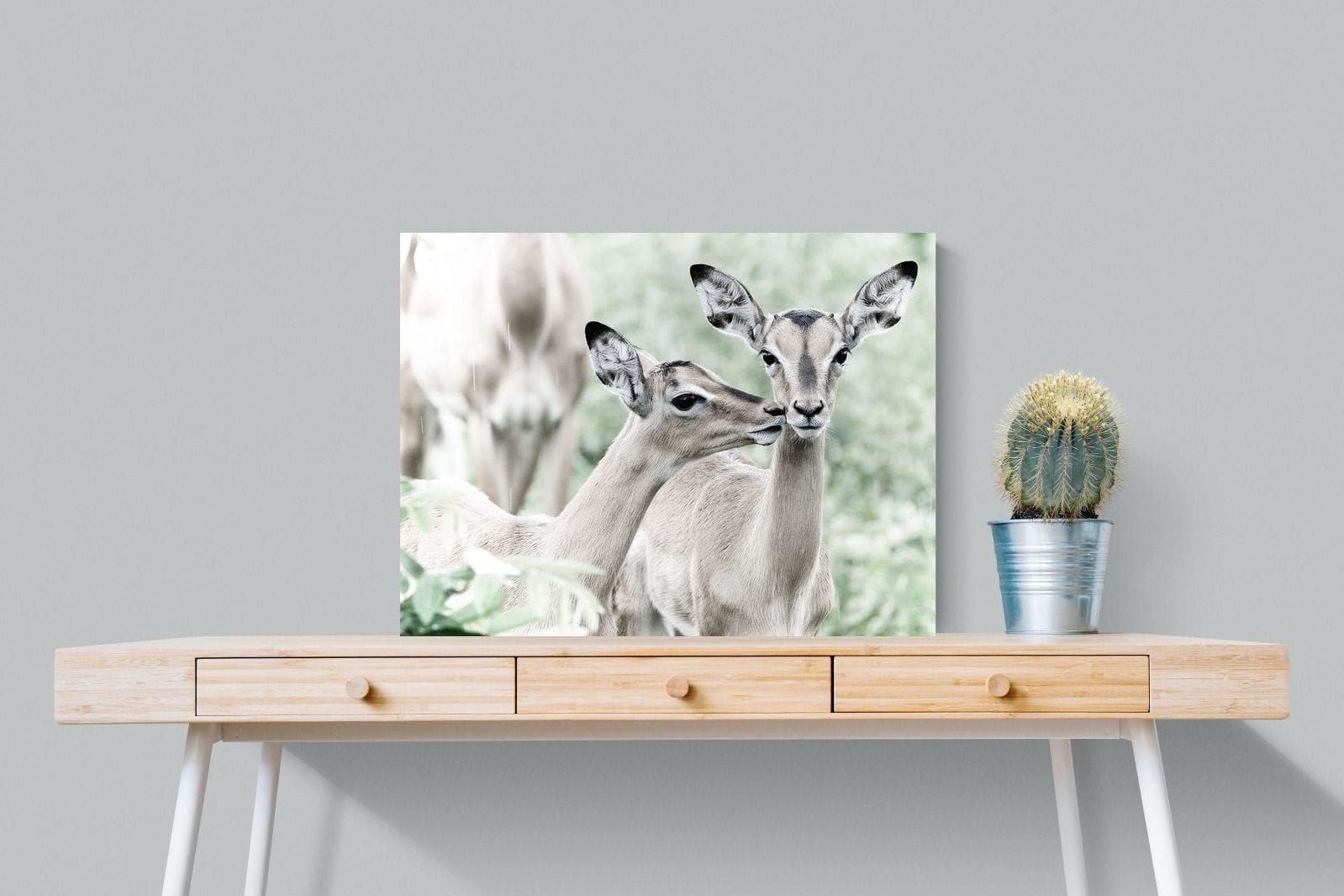 Impala Kisses-Wall_Art-80 x 60cm-Mounted Canvas-No Frame-Pixalot