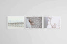 In Touch with Nature Set-Wall_Art-60 x 45cm (x3)-Mounted Canvas-White-Pixalot