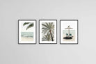 Island Living-Wall_Art-45 x 60cm (x3)-Framed Print-Black-Pixalot