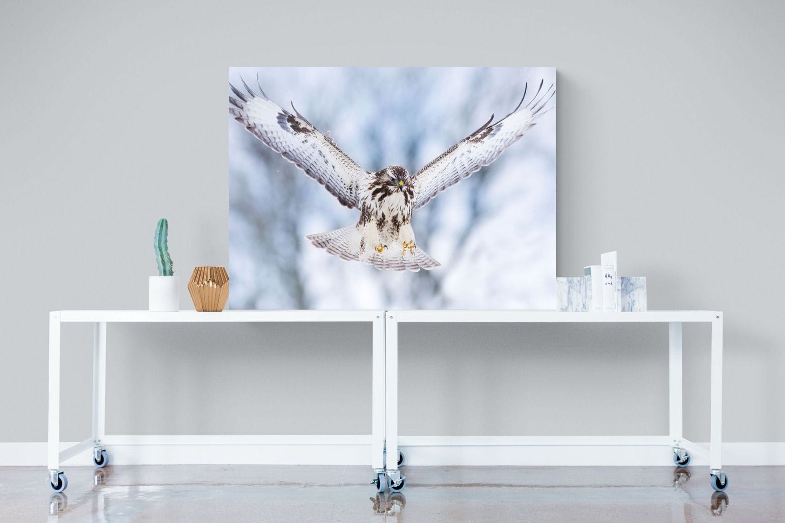 Jackal Buzzard-Wall_Art-120 x 90cm-Mounted Canvas-No Frame-Pixalot