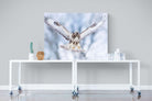 Jackal Buzzard-Wall_Art-120 x 90cm-Mounted Canvas-No Frame-Pixalot