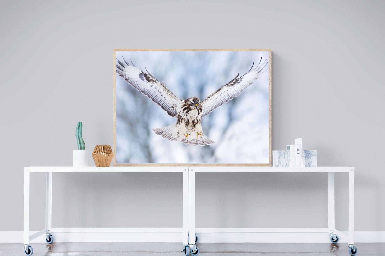 Jackal Buzzard-Wall_Art-120 x 90cm-Mounted Canvas-Wood-Pixalot