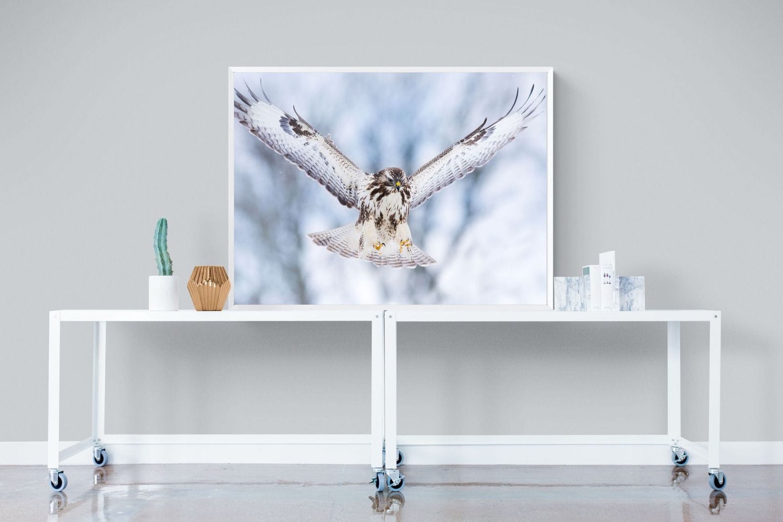 Jackal Buzzard-Wall_Art-120 x 90cm-Mounted Canvas-White-Pixalot