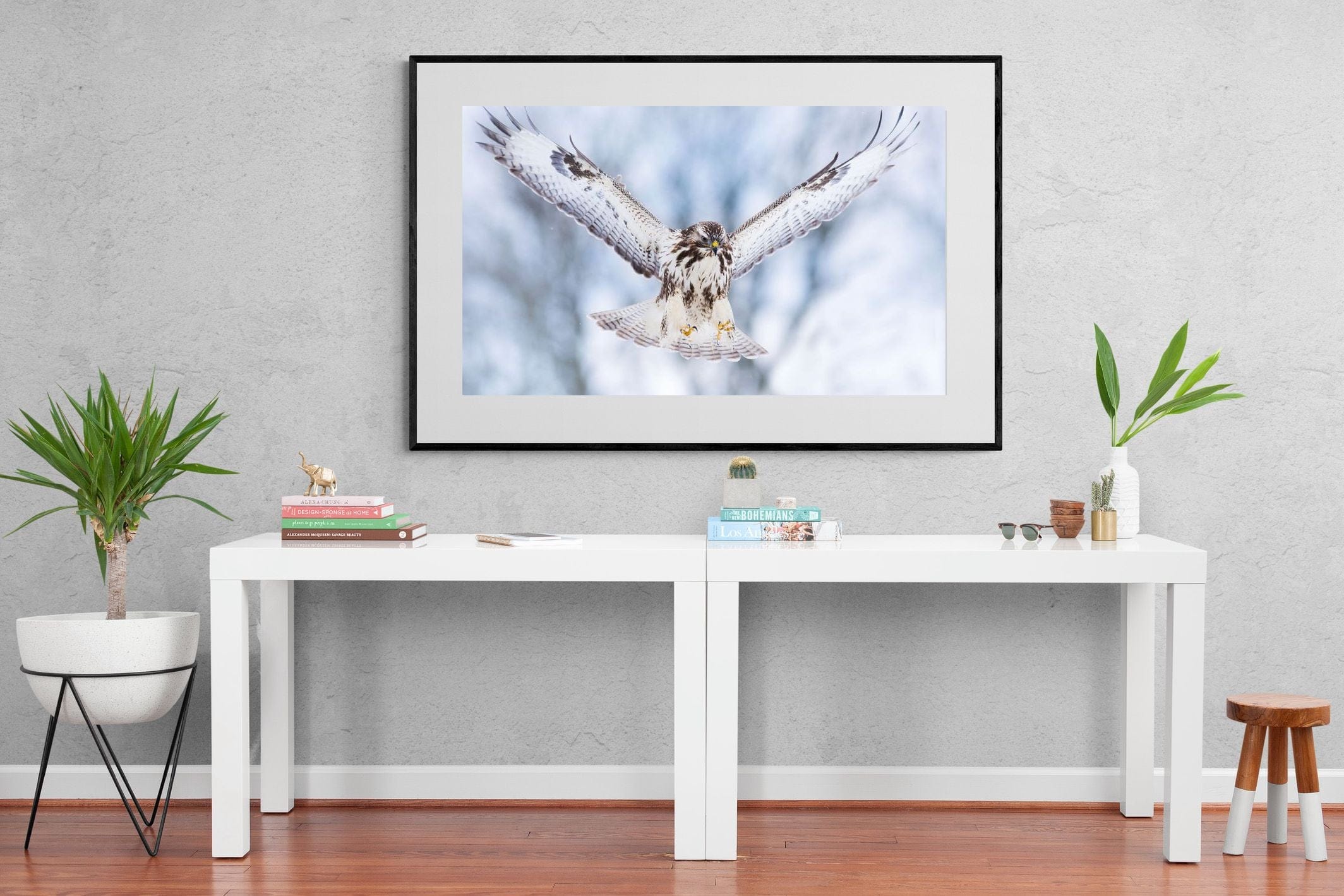 Jackal Buzzard-Wall_Art-150 x 100cm-Framed Print-Black-Pixalot