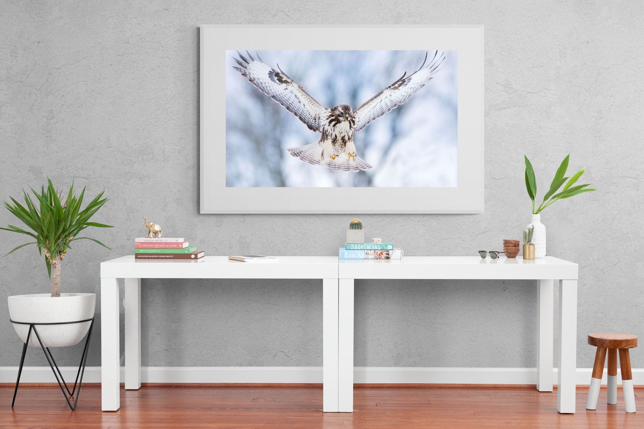 Jackal Buzzard-Wall_Art-150 x 100cm-Framed Print-White-Pixalot