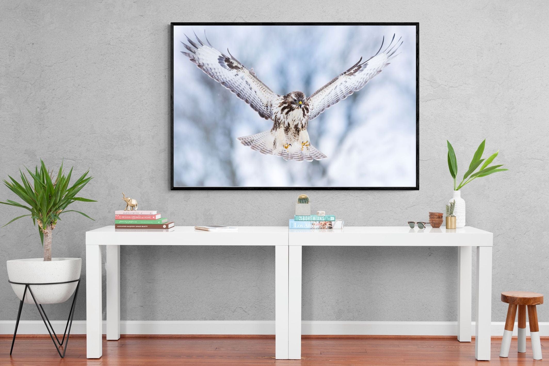 Jackal Buzzard-Wall_Art-150 x 100cm-Mounted Canvas-Black-Pixalot