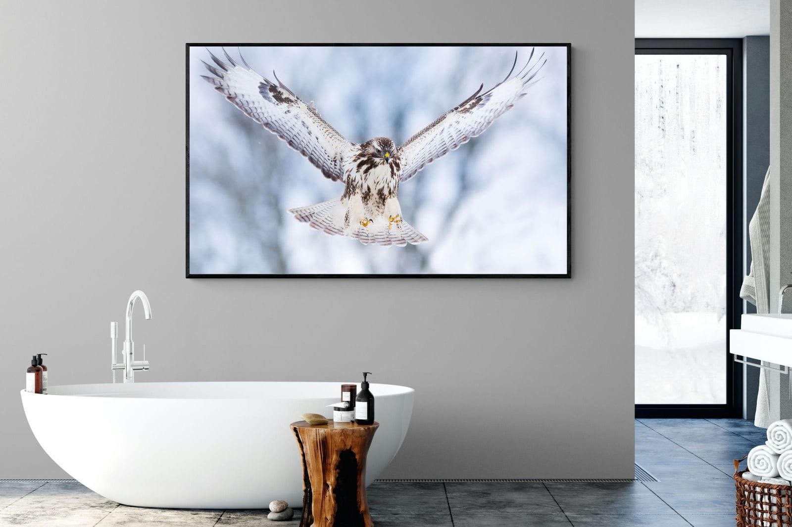 Jackal Buzzard-Wall_Art-180 x 110cm-Mounted Canvas-Black-Pixalot