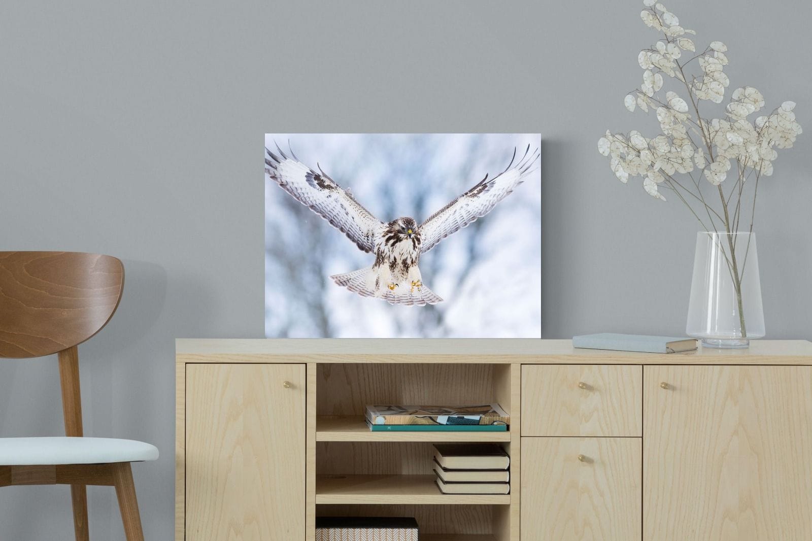 Jackal Buzzard-Wall_Art-60 x 45cm-Mounted Canvas-No Frame-Pixalot