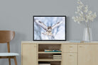 Jackal Buzzard-Wall_Art-60 x 45cm-Mounted Canvas-Black-Pixalot