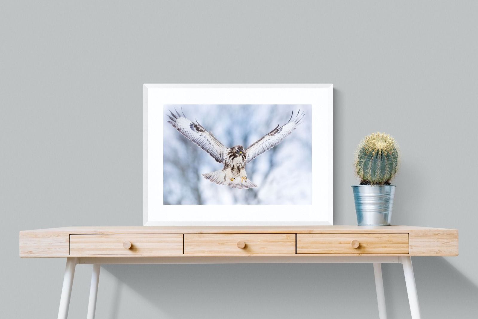 Jackal Buzzard-Wall_Art-80 x 60cm-Framed Print-White-Pixalot