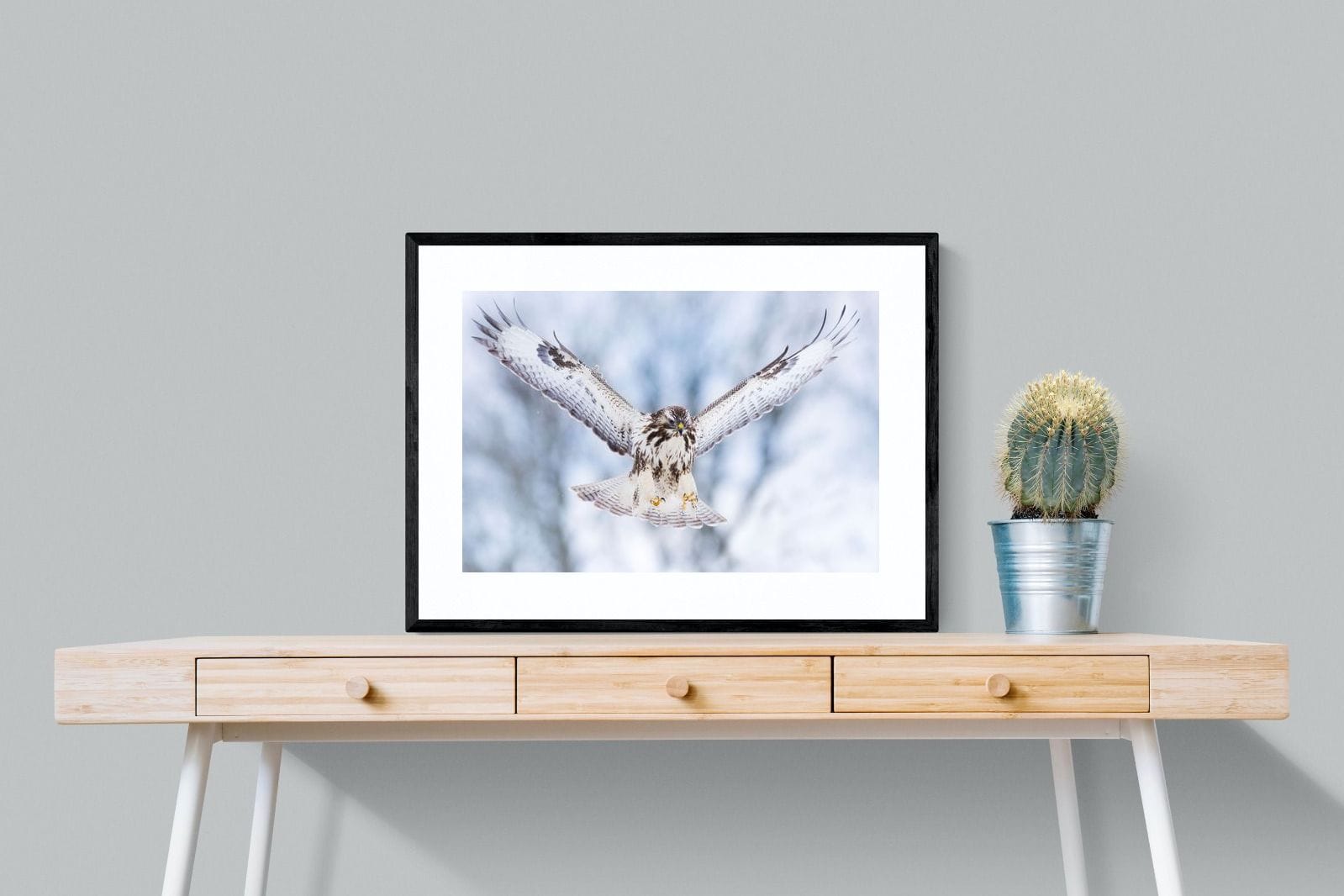 Jackal Buzzard-Wall_Art-80 x 60cm-Framed Print-Black-Pixalot