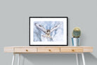 Jackal Buzzard-Wall_Art-80 x 60cm-Framed Print-Black-Pixalot