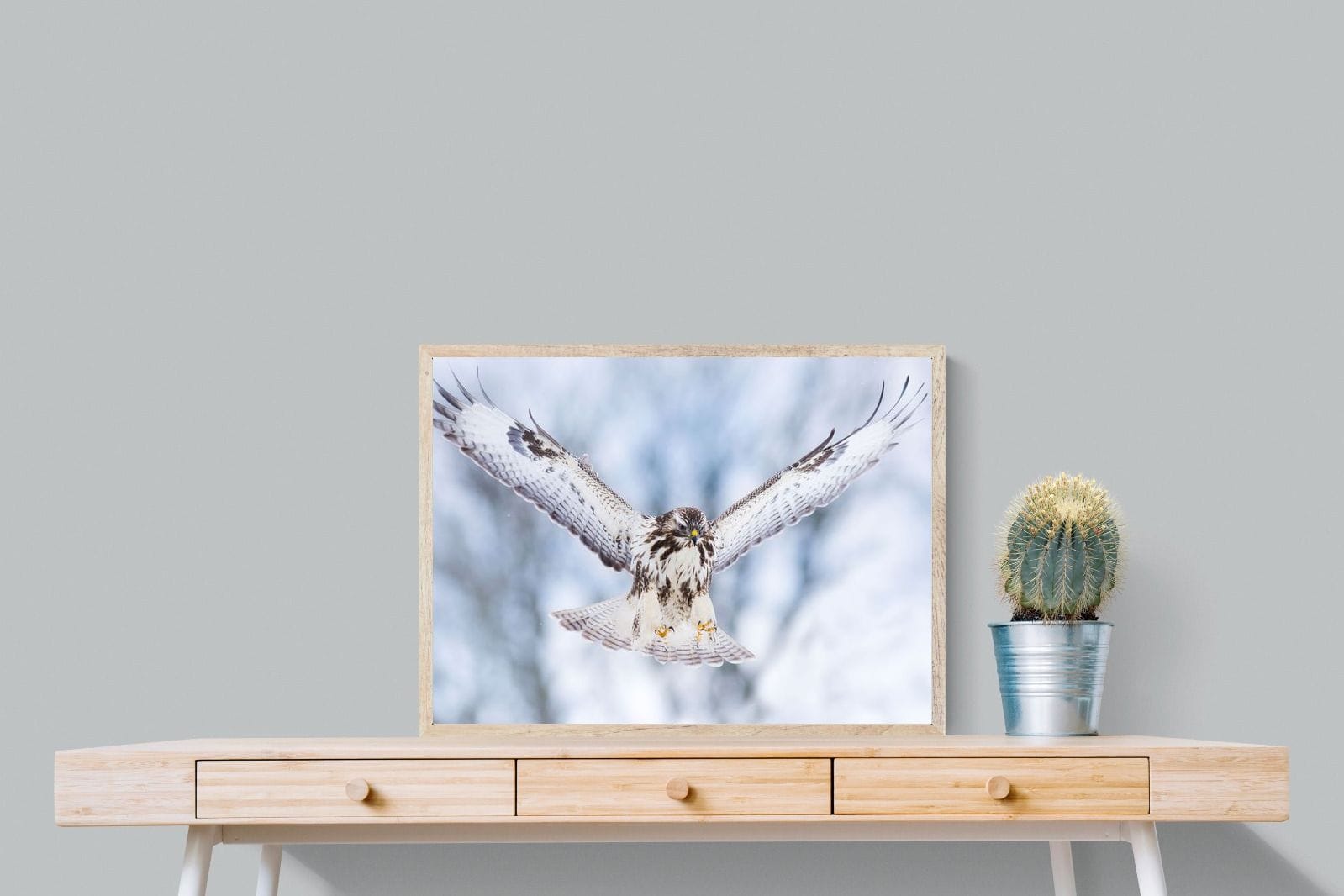 Jackal Buzzard-Wall_Art-80 x 60cm-Mounted Canvas-Wood-Pixalot