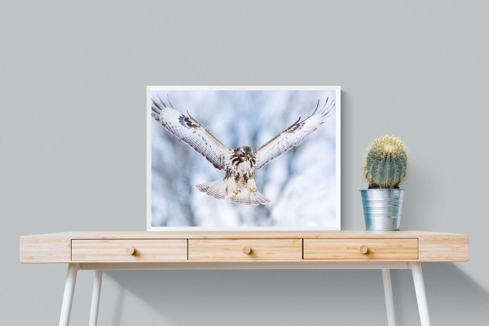 Jackal Buzzard-Wall_Art-80 x 60cm-Mounted Canvas-White-Pixalot