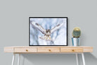 Jackal Buzzard-Wall_Art-80 x 60cm-Mounted Canvas-Black-Pixalot