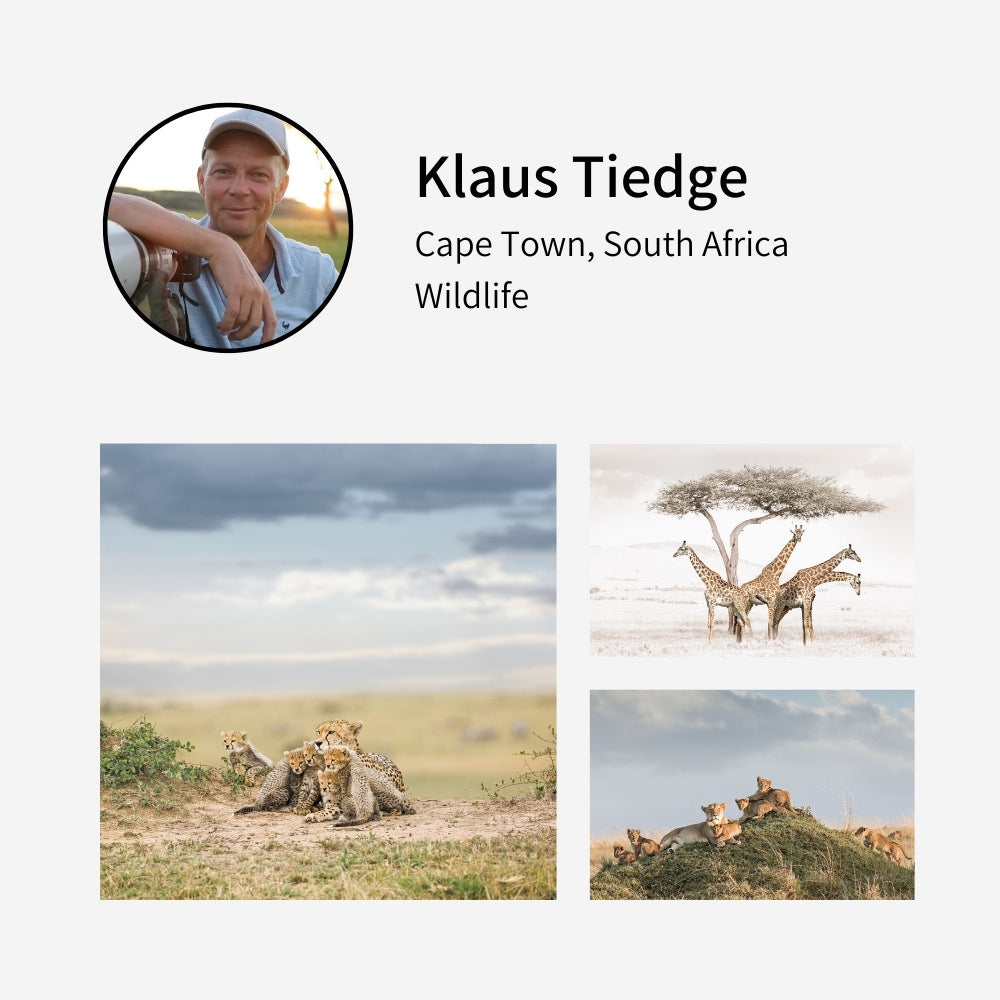 Klaus Tiedge Photography at Pixalot