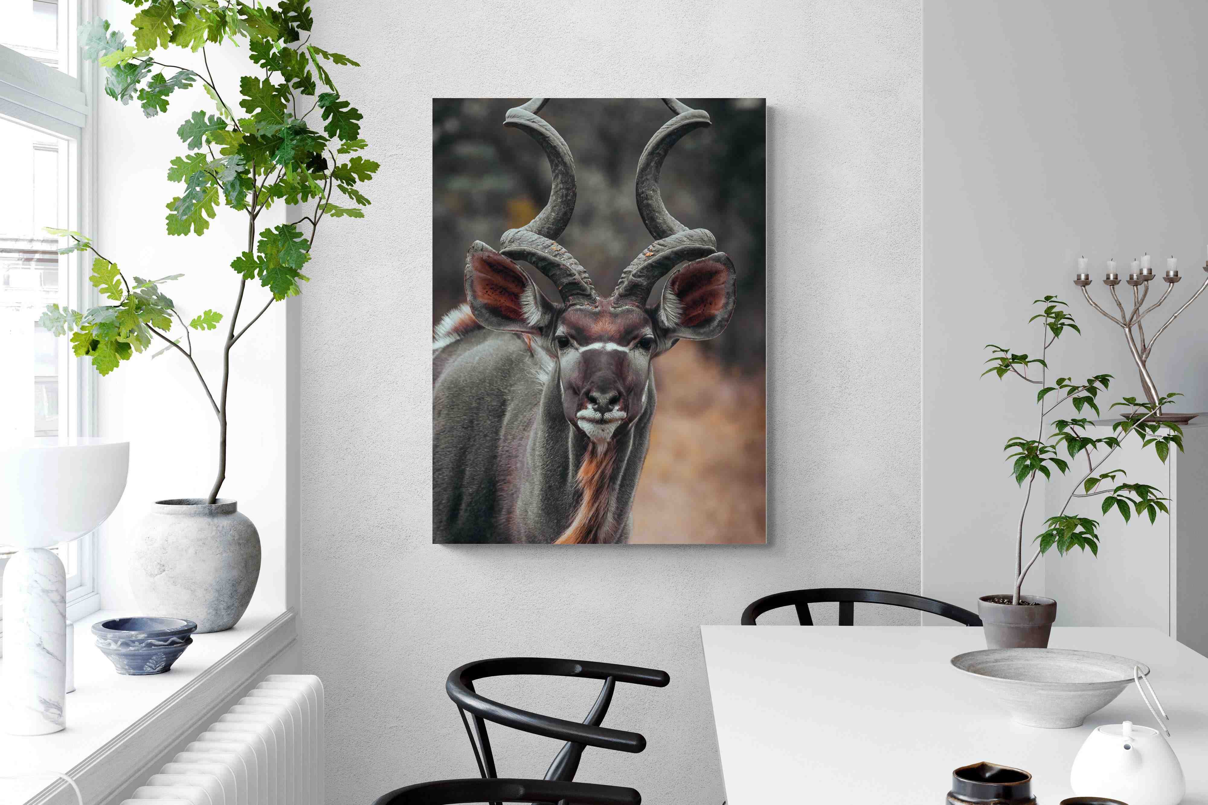 Pixalot Kudu