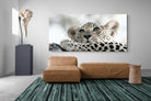 Leopard Cub-Wall_Art-275 x 130cm-Mounted Canvas-No Frame-Pixalot