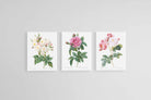 Les Roses Set-Wall_Art-45 x 60cm (x3)-Mounted Canvas-White-Pixalot