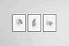 Line Drawn Foliage Set-Wall_Art-45 x 60cm (x3)-Framed Print-Black-Pixalot