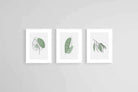 Line Drawn Foliage Set-Wall_Art-45 x 60cm (x3)-Framed Print-White-Pixalot