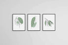 Line Drawn Foliage Set-Wall_Art-45 x 60cm (x3)-Mounted Canvas-Black-Pixalot