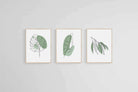 Line Drawn Foliage Set-Wall_Art-45 x 60cm (x3)-Mounted Canvas-Wood-Pixalot