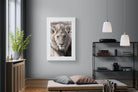 Lion Eyes-Wall_Art-100 x 150cm-Framed Print-White-Pixalot