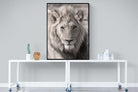 Lion Eyes-Wall_Art-90 x 120cm-Mounted Canvas-Black-Pixalot