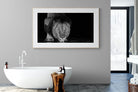 Lion Lake-Wall_Art-180 x 110cm-Framed Print-Wood-Pixalot