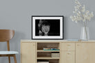 Lion Lake-Wall_Art-60 x 45cm-Framed Print-Black-Pixalot