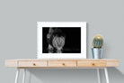 Lion Lake-Wall_Art-80 x 60cm-Framed Print-White-Pixalot