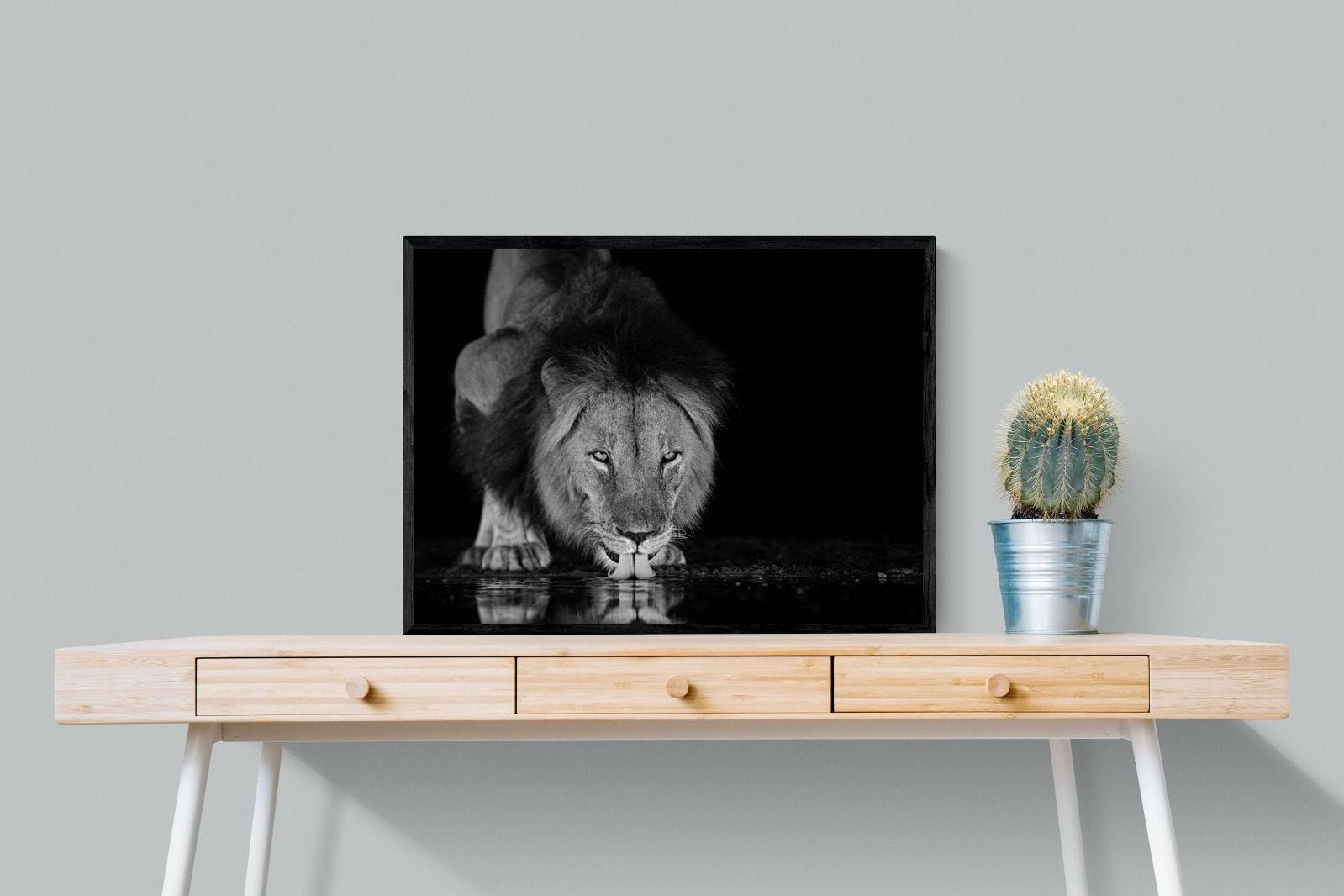 Lion Lake-Wall_Art-80 x 60cm-Mounted Canvas-Black-Pixalot