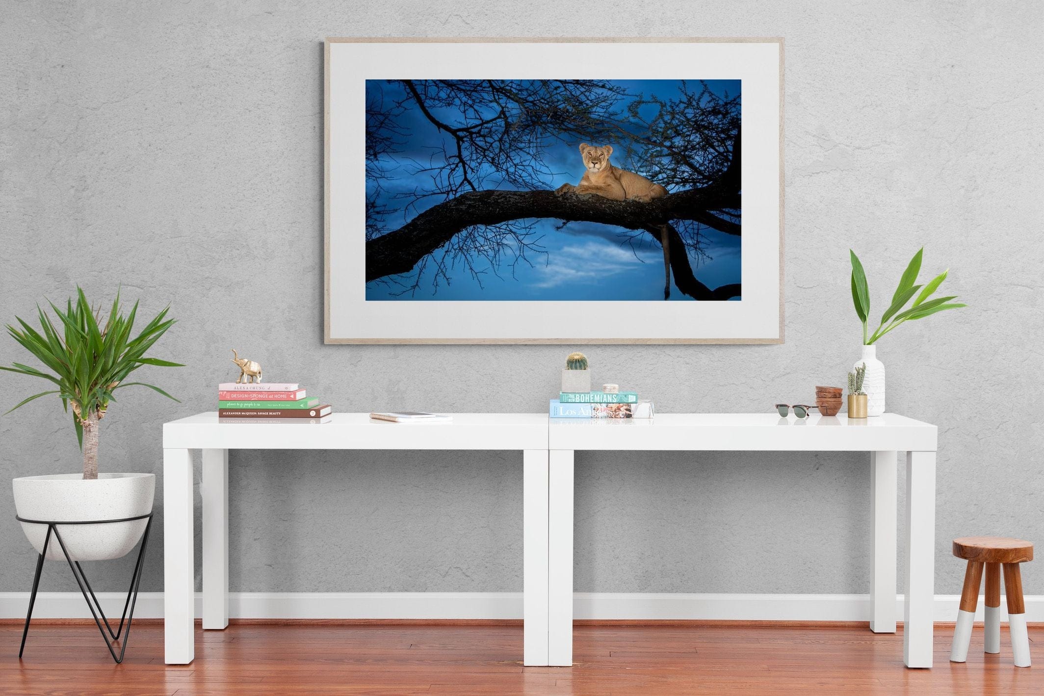 Lion at Dusk-Wall_Art-150 x 100cm-Framed Print-Wood-Pixalot